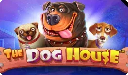 Zet Casino offre il gioco online The Dog House